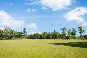 Park with green grass fields with a beautiful park scene background photo