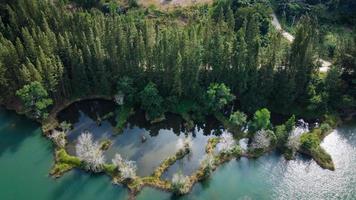 Aerial view of lake and pine forest at Liwong public park, Chana, Thailand photo