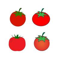 Tomato collection. Isolated vegetables. Vector illustration
