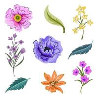 Collection of beautiful herbs and wild flowers and leaves isolated on white background. vector