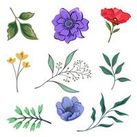 colección de hermosas hierbas y flores silvestres y hojas aisladas sobre fondo blanco. vector