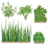 Grass and Bush Set vector