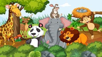 Wild animals in the jungle vector