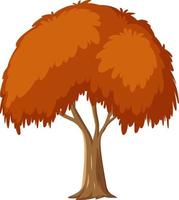 Árbol de otoño aislado sobre fondo blanco. vector