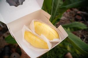 Asian fresh durian photo