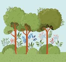 trees and leafs with bush landscape scene vector