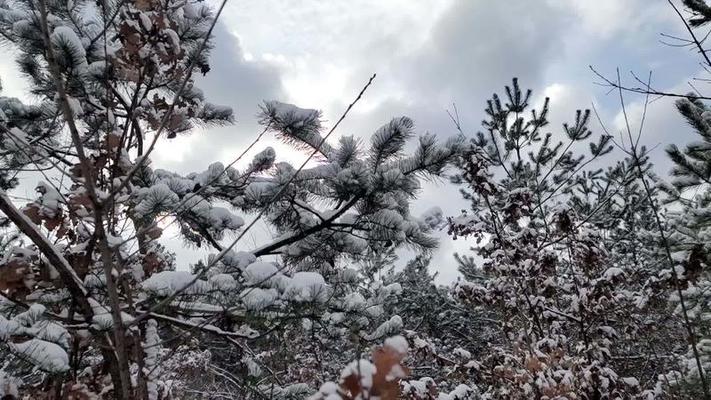 下雪影片