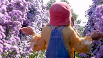 duas irmãs fofas brincando entre as flores no jardim do parque de singha em chiang rai, tailândia video