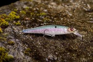 Wobbler señuelo de pesca sobre una piedra mojada con musgo foto