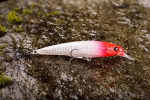 Fishing lure wobbler on a wet stone with moss photo