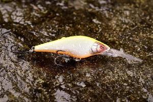 Wobbler señuelo de pesca sobre una piedra mojada con musgo foto