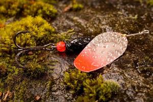 Señuelo de cuchara de pesca en piedra mojada con musgo foto