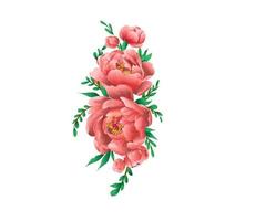 conjunto floral con rosas vector