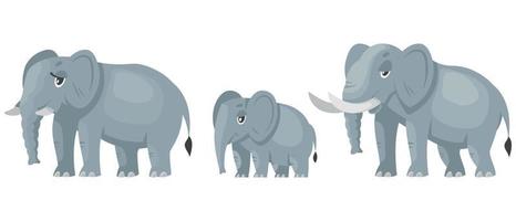 Elephant family three quarter view. vector