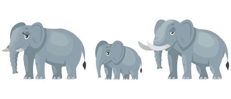 Elephant Family Vector Art, Icons, and Graphics for Free Download