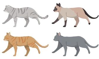 Set of different cats side view. vector