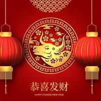 Happy Chinese new year lucky fortune with red color and lantern banner vector