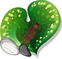 Top view of insect on a leaf isolated vector