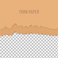 Half torn paper vector