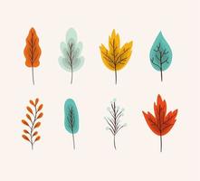 autumn leaf set vector design