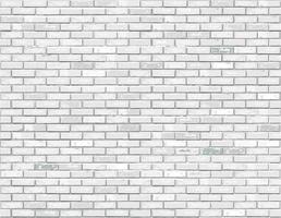 White brick background texture. Vector illustration.