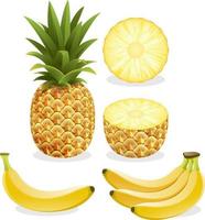 Pineapple and banana fruit. Vector illustration.
