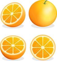 Orange fruit. Vector illustration.