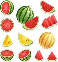 Watermelon. Vector illustration.