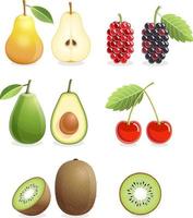 Set of colorful fruit icons pear, mulberry, cherry, kiwi, avocado. Vector illustration.