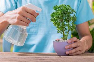 el rociador de agua de plantas en macetas foto