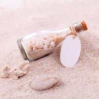 Seashells in a jar photo