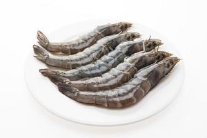 Raw fresh prawns on a white plate photo