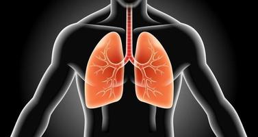 Lung x-ray vector illustrations.