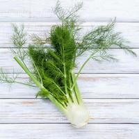 Top view of fresh fennel photo