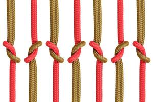 Different ropes tied together isolated on a white background photo