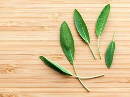 Sage leaves on wood photo