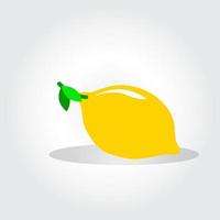 Fresh lemon fruits, collection of vector illustrations