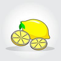 Fresh lemon fruits, collection of vector illustrations