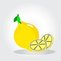 Fresh lemon fruits, collection of vector illustrations