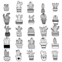 Hand drawn outline cactus set