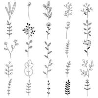 Leaves Doodle Set in Sketch Style vector