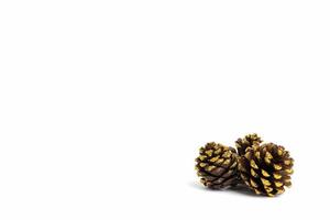 Pine cone with gold glitter on a white background photo