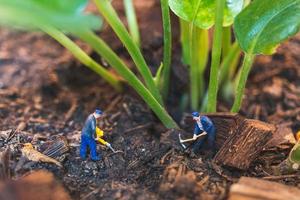 Trabajadores en miniatura que trabajan con un árbol, protegiendo el concepto de naturaleza foto