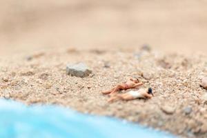 Gente en miniatura vistiendo trajes de baño relajándose en una playa, concepto de verano foto