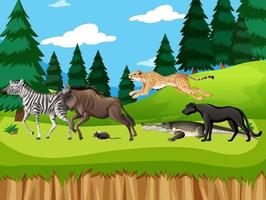 Grupo de animales salvajes africanos en la escena del bosque vector