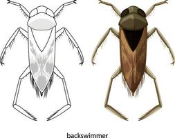 Backswimmer en color y doodle sobre fondo blanco. vector