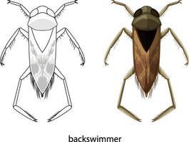 Backswimmer en color y doodle sobre fondo blanco. vector