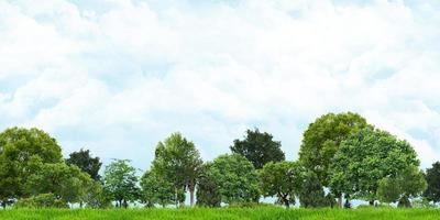 3D illustration of grass and trees with view of cloudy skies photo