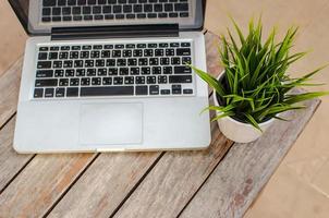 laptop and plant photo