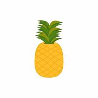 Pineapple with green leaf in cartoon style. Flat design graphic elements. Summer fruits, for a healthy and natural life. Vector colored fruits illustration isolated on white background